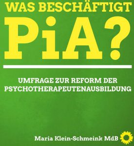 Ergebnisse PiA-Studie B90_Grüne